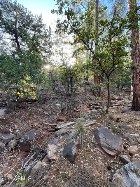 5901 W Summit Ridge Dr, Pine, AZ 85544 photo 26