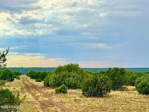 lot C-4 Silver Lake 14 Acres -- #C-4, Show Low, AZ 85901