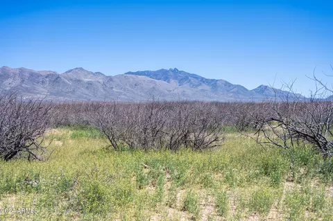40 S Acres S Martin Ranch Rd #1, Willcox, AZ 85643