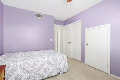 4163 E Cholla Canyon Dr, Phoenix, AZ 85044 photo 40