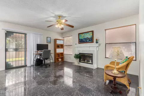 4163 E Cholla Canyon Dr, Phoenix, AZ 85044 photo 21