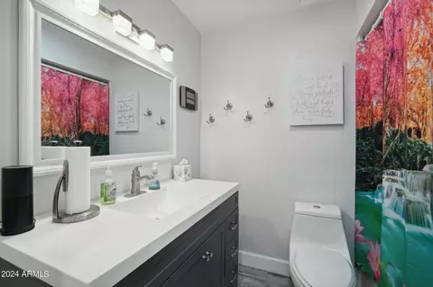 125 E Jasmine St, Mesa, AZ 85201 photo 20