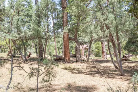 4029 N Apache Trl, Pine, AZ 85544 photo 22