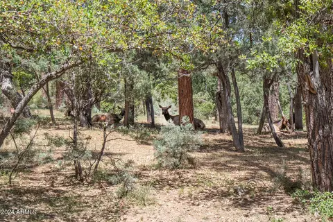 4029 N Apache Trl, Pine, AZ 85544 photo 21