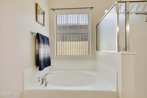 Bath - 2542 S Canfield --, Mesa, AZ 85209 photo 3 of 6