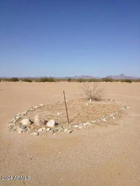 51250 E 76 E Ave #0, Salome, AZ 85348 photo 4