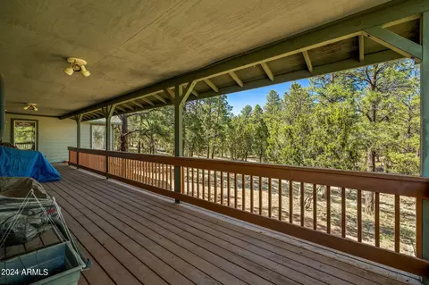 2765 Panther Cir, Overgaard, AZ 85933 photo 24