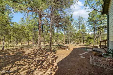 2765 Panther Cir, Overgaard, AZ 85933 photo 27