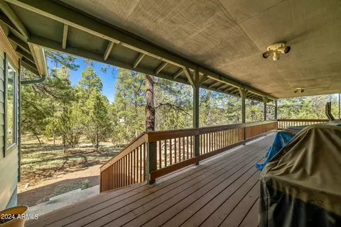 2765 Panther Cir, Overgaard, AZ 85933 photo 23