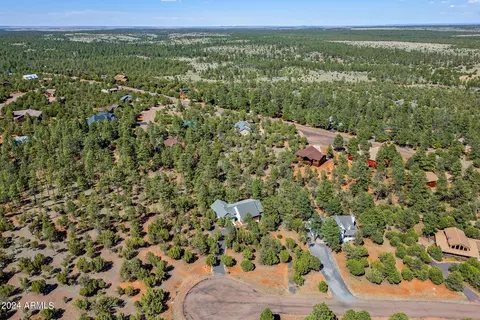 2765 Panther Cir, Overgaard, AZ 85933 photo 33