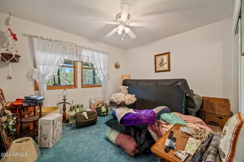 2765 Panther Cir, Overgaard, AZ 85933 photo 20