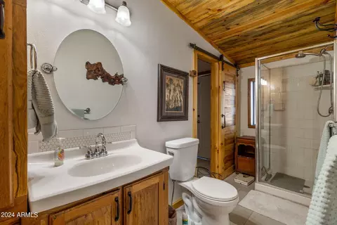 2906 E Red Cinder Rd, Overgaard, AZ 85933 photo 23