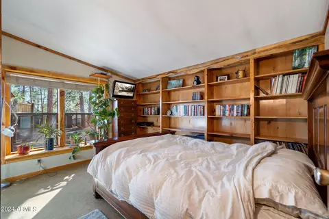 2906 E Red Cinder Rd, Overgaard, AZ 85933 photo 22