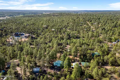 2906 E Red Cinder Rd, Overgaard, AZ 85933 photo 43