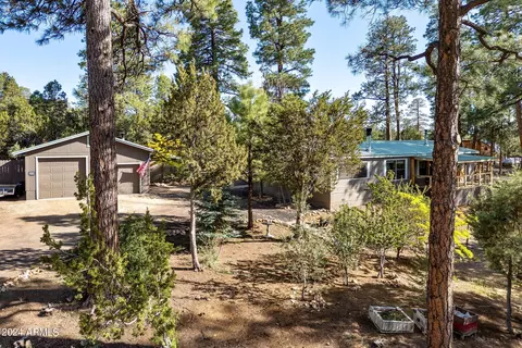 2906 E Red Cinder Rd, Overgaard, AZ 85933 photo 2
