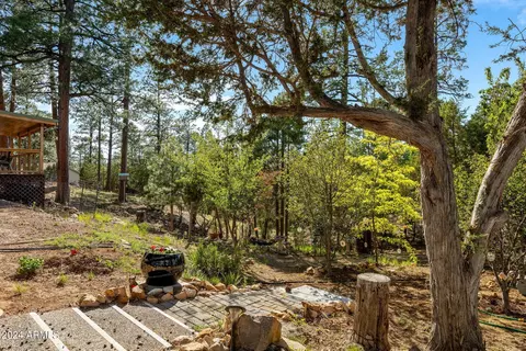 2906 E Red Cinder Rd, Overgaard, AZ 85933 photo 37
