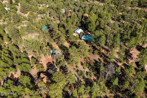 2906 E Red Cinder Rd, Overgaard, AZ 85933 photo 42