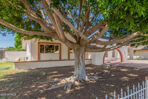 1264 E 3rd St, Mesa, AZ 85203 photo 5