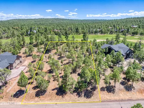 4601 W Acer Ln #455, Show Low, AZ 85901
