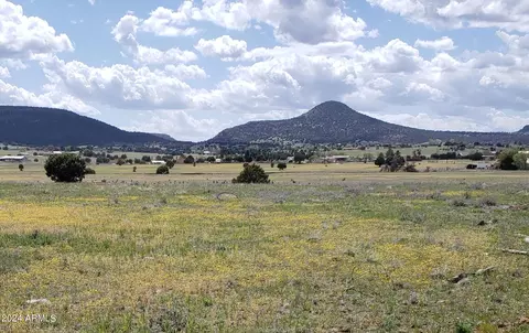 227 W Baker Ranch Rd #-, Young, AZ 85554