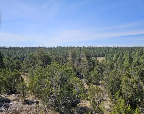 2955 E Lookout Ln #337, Overgaard, AZ 85933