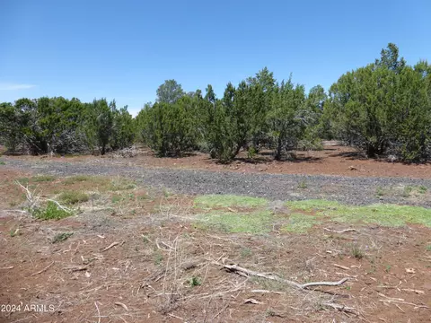 202 Acr 3158 -- #125, Vernon, AZ 85940