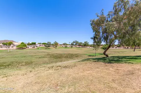 6641 E Roland St, Mesa, AZ 85215 photo 45