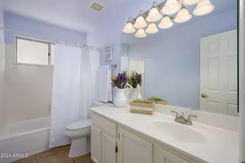 Bath - 1414 E Stanford Ave, Gilbert, AZ 85234 photo 4 of 4