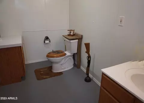 2373 N Grand Dr, Apache Junction, AZ 85120 photo 38