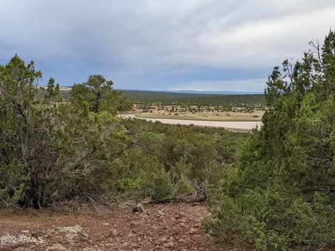 lot72 N Dolly Dr #72, Vernon, AZ 85940