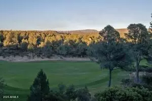 2412 E Golden Aster Cir, Payson, AZ 85541 photo 51