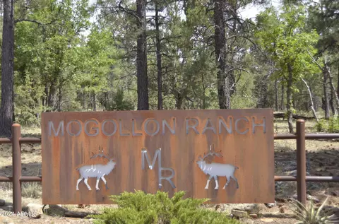 6663 Mogollon Trl #42, Happy Jack, AZ 86024