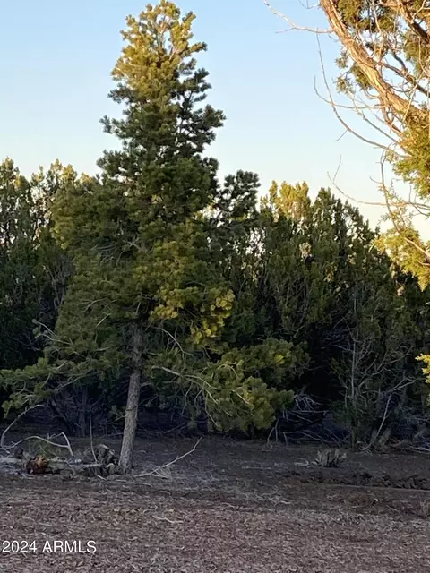 0 Show -- #-, Low, AZ 85901 photo 3