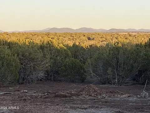 0 Show -- #-, Low, AZ 85901 photo 2