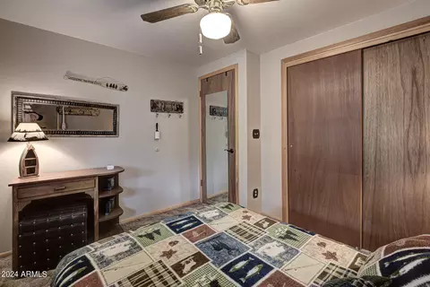 6242 W Marcy Way, Pine, AZ 85544 photo 19