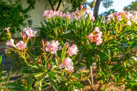 6 Echo Ln, Phoenix, AZ 85020 photo 55