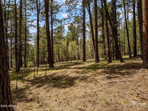 0 102-10-002 -- #-, Greer, AZ 85927