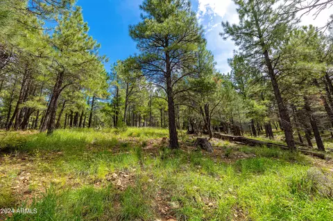 4350 E Burning Tree Loop, Flagstaff, AZ 86004 photo 40