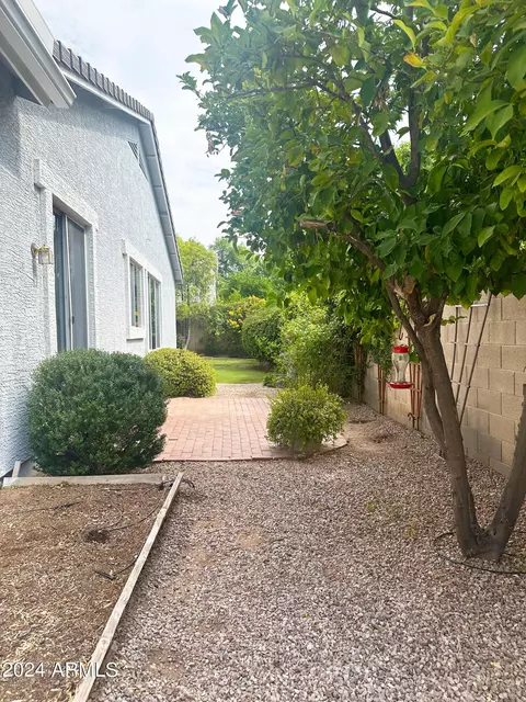 3028 E Cullumber St, Gilbert, AZ 85234 photo 37