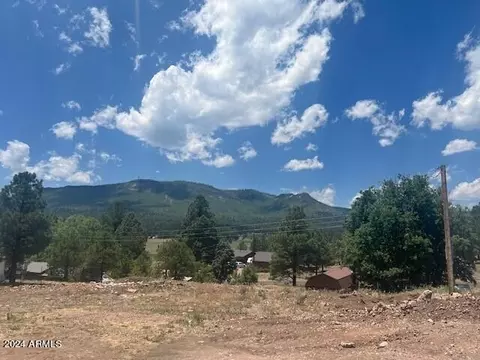 4 County Road 2059 -- #7, Alpine, AZ 85920