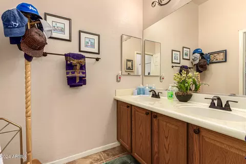2996 E Cotton Ln, Gilbert, AZ 85234 photo 34