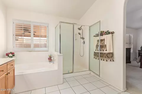 7319 E June St, Mesa, AZ 85207 photo 25