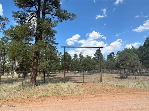 2864 Deer Trl #40, Overgaard, AZ 85933 photo 2