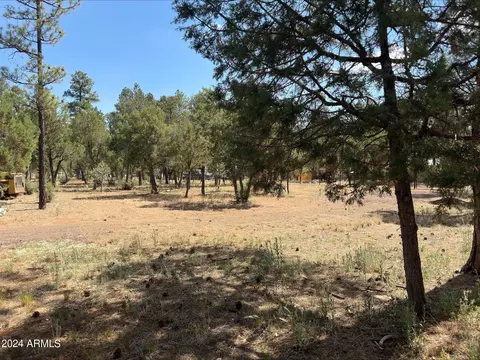 2864 Deer Trl #40, Overgaard, AZ 85933 photo 7