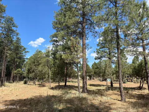 2864 Deer Trl #40, Overgaard, AZ 85933 photo 3