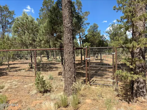 2864 Deer Trl #40, Overgaard, AZ 85933 photo 5