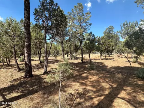 2864 Deer Trl #40, Overgaard, AZ 85933 photo 4