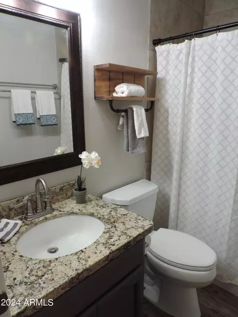 2904 E Dolpin Ave, Mesa, AZ 85204 photo 19