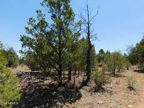 3517 Sunset Ridge Loop #163, Happy Jack, AZ 86024