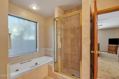 3135 Enrose Cir, Mesa, AZ 85213 photo 40